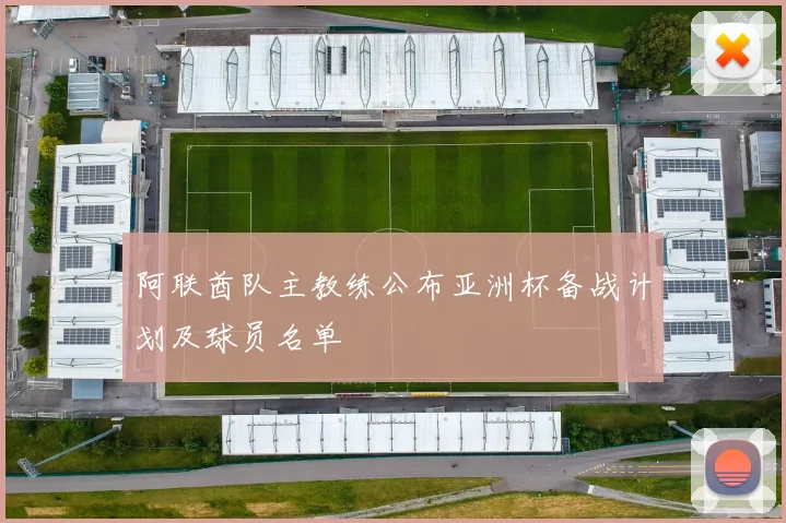 阿联酋队主教练公布亚洲杯备战计划及球员名单